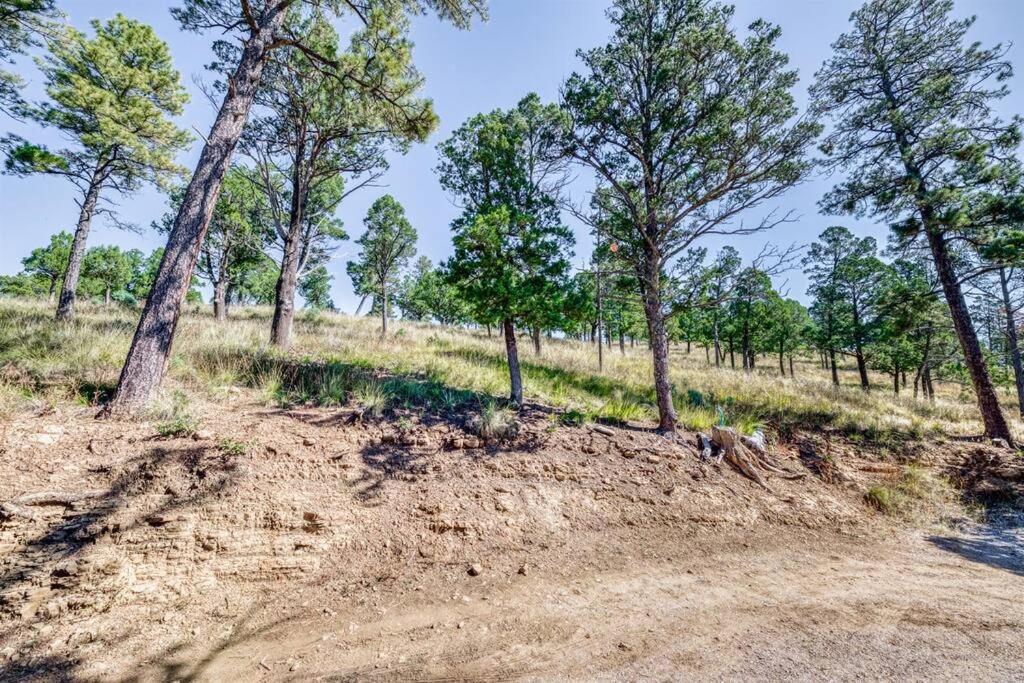 Perk Canyon Hidden Acres-Hot Tub-Gas Fireplace Ruidoso Extérieur photo